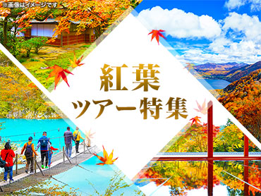 全国紅葉特集　2025 旅行・ツアー