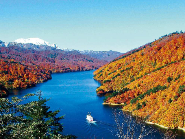 紅葉ツアー特集｜おひとり参加限定の旅 旅行・ツアー